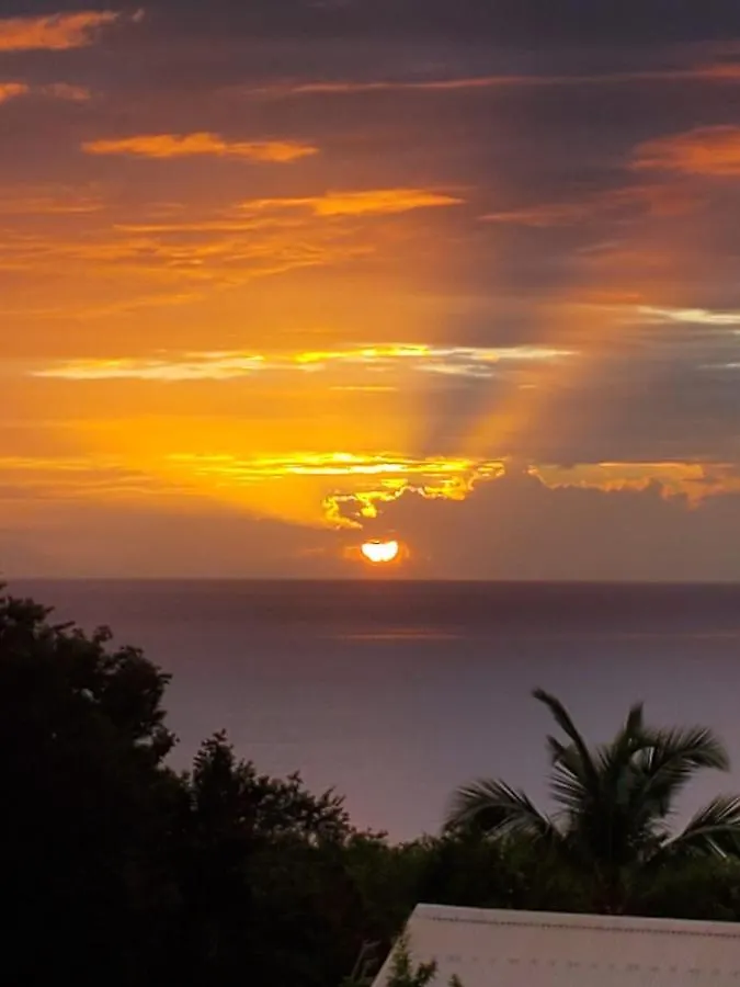 Les Gites Sun And Sea Deshaies Appartamento