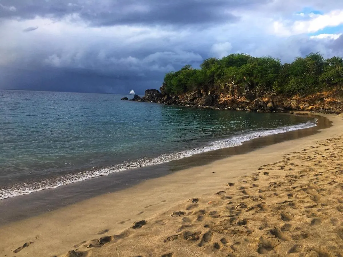 Daire Les Gites Sun And Sea Deshaies